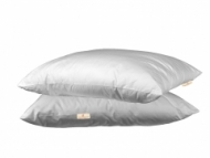 Lot 2 oreillers Colas Normand anti acariens Greensphere 60x60cm