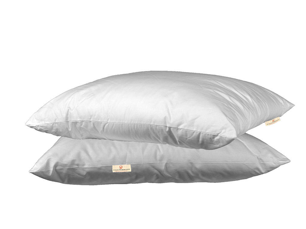 Oreillers 70x50 Lot de 2 - Oreiller Moelleux -Coussin Blanc